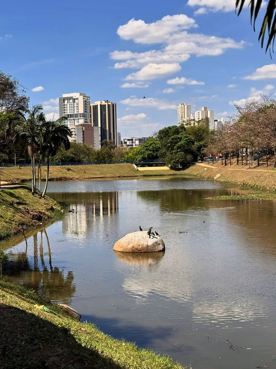 Apartamento para alugar em Jardim Portal da Colina, Sorocaba, foto 21 de 24