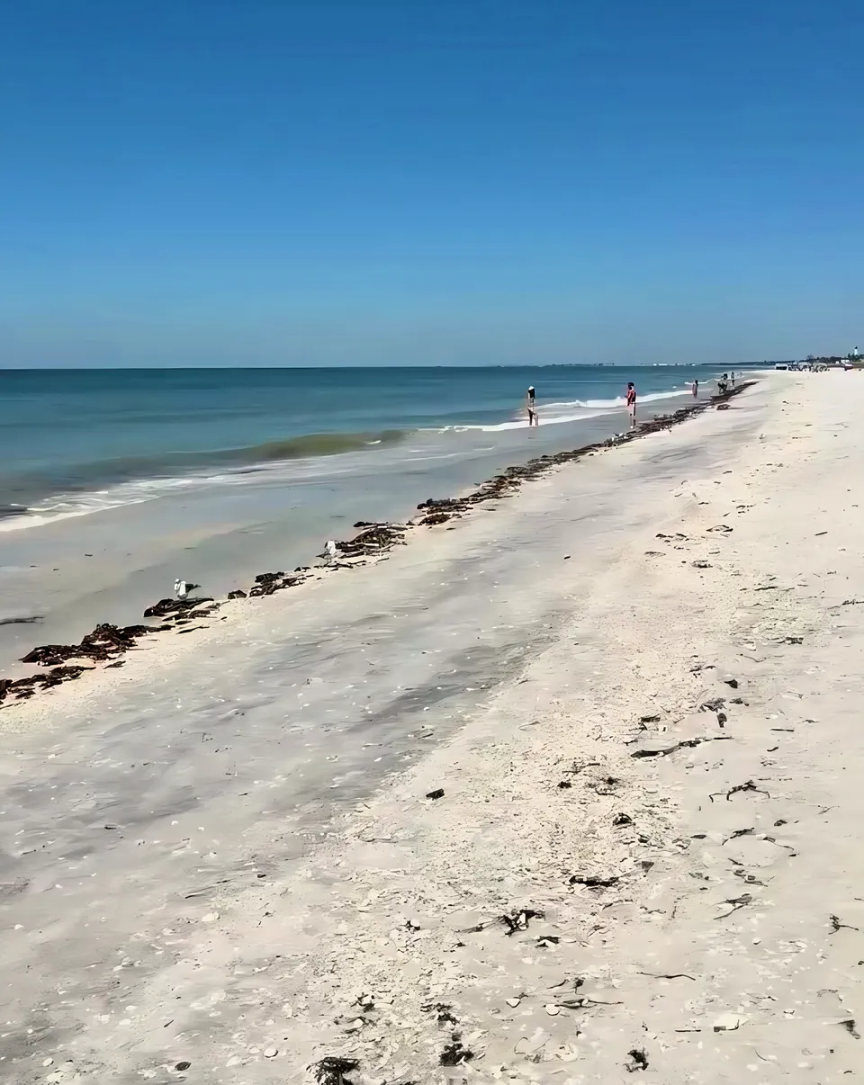 Imóvel à venda em Port Charlotte, Port Charlotte, Flórida, foto 6 de 6