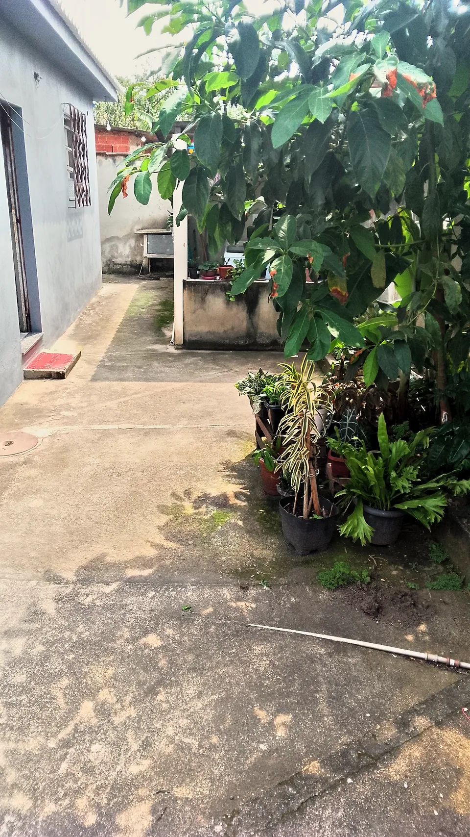 Casa à venda em Cosmos, foto 2 de 20