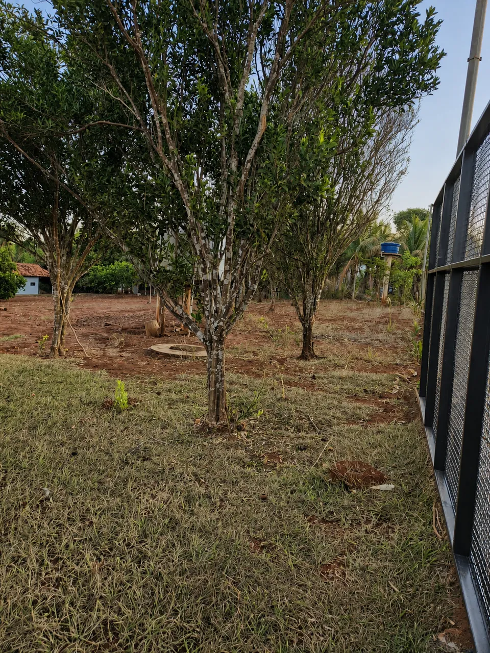 Casa à venda em Alagado Rio Doce, Rio Verde, foto 6 de 8