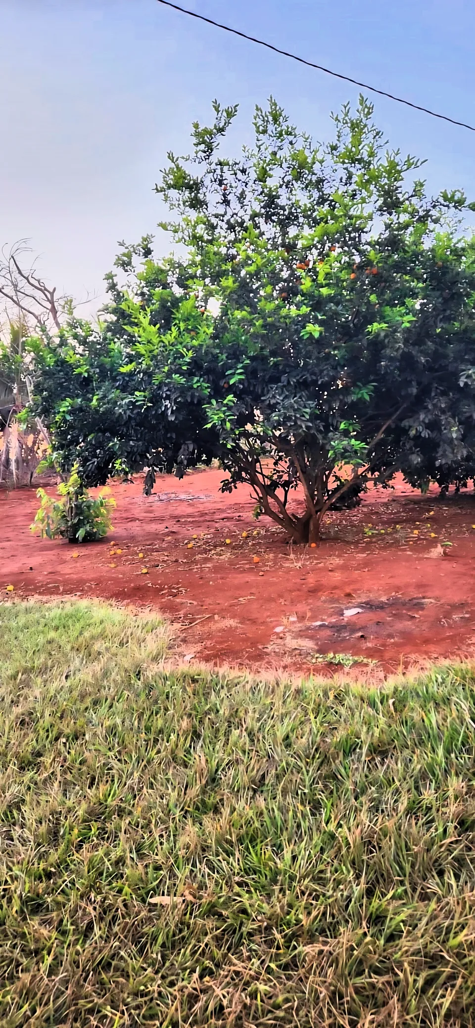 Casa à venda em Alagado Rio Doce, Rio Verde, foto 7 de 8