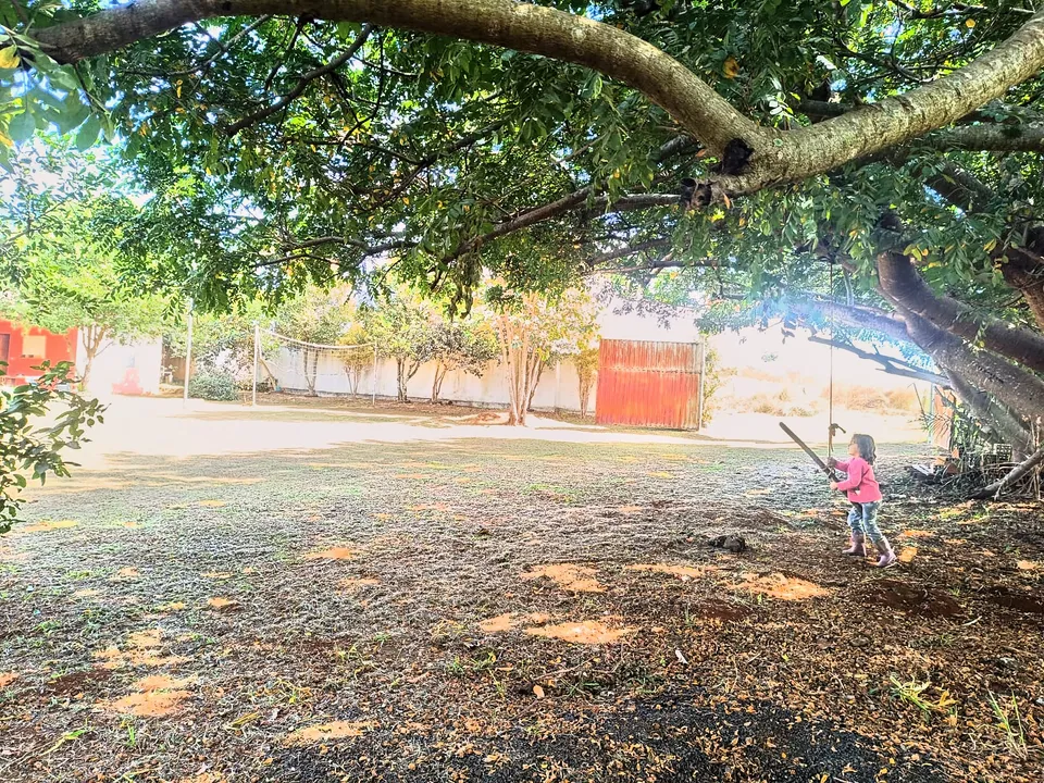 Casa à venda em Zona rural, Rio Verde, foto 9 de 16