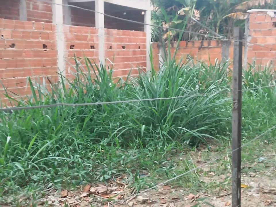 Imóvel à venda em Taquara, Rio de Janeiro, foto 5 de 5