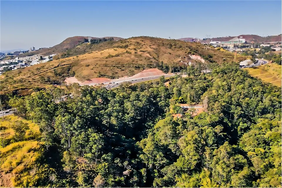 Imóvel à venda em Olhos D'Água, Belo Horizonte, foto 4 de 8