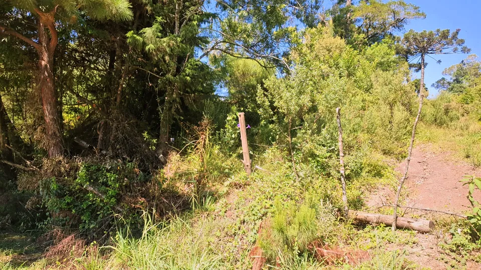 Imóvel à venda em Canelinha, Canela, foto 2 de 8