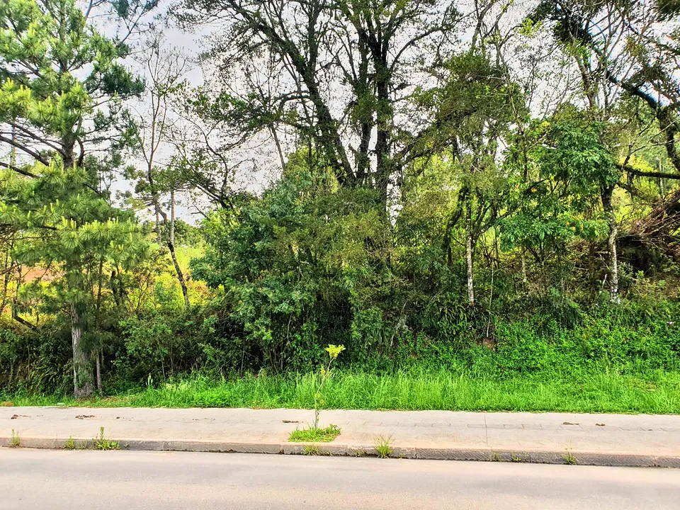 Imóvel à venda em Canelinha, Canela, foto 4 de 8