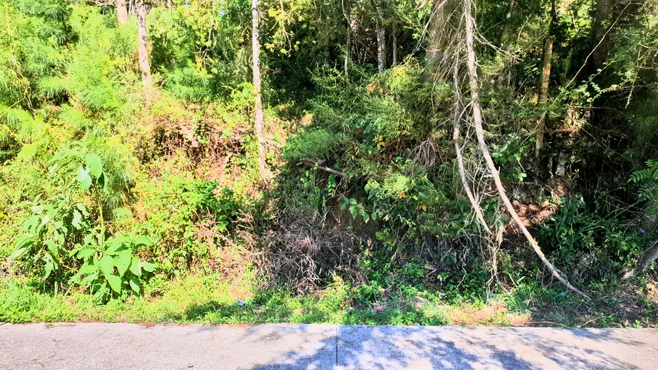 Imóvel à venda em Canelinha, Canela, foto 6 de 8