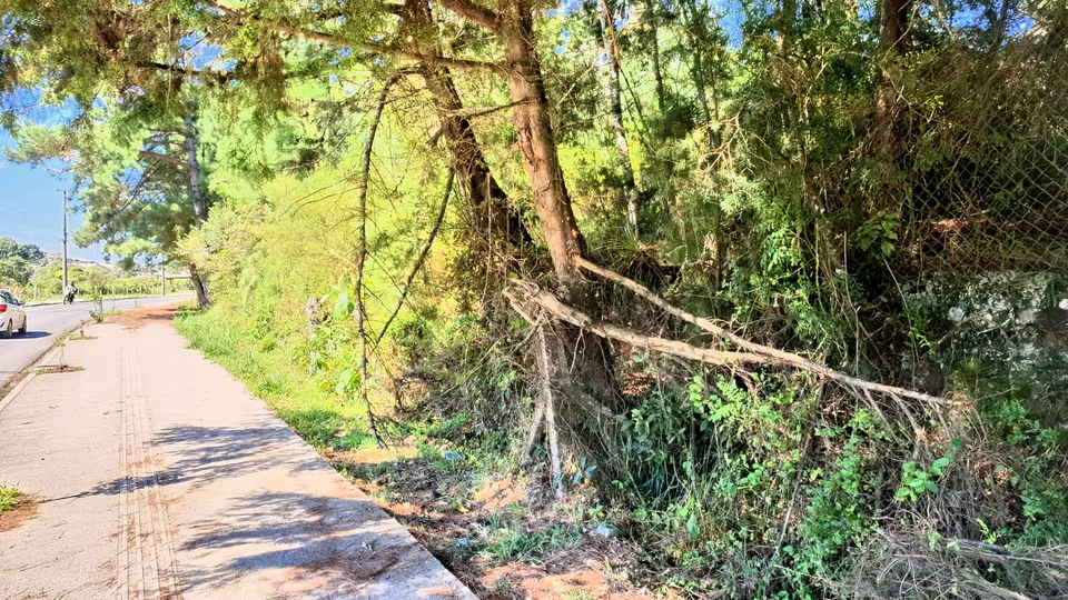 Imóvel à venda em Canelinha, Canela, foto 7 de 8
