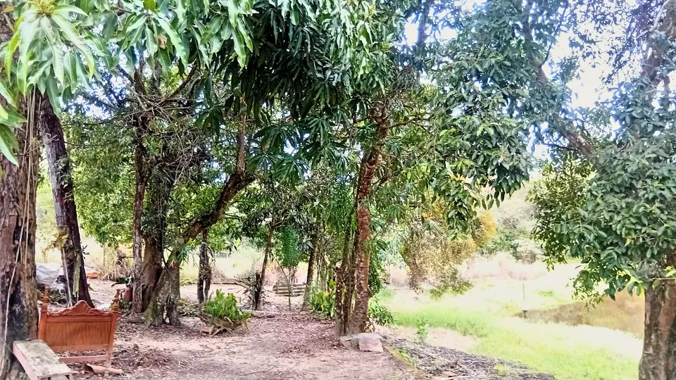 Imóvel à venda em Portal de Pirapora, Salto de Pirapora, foto 3 de 16