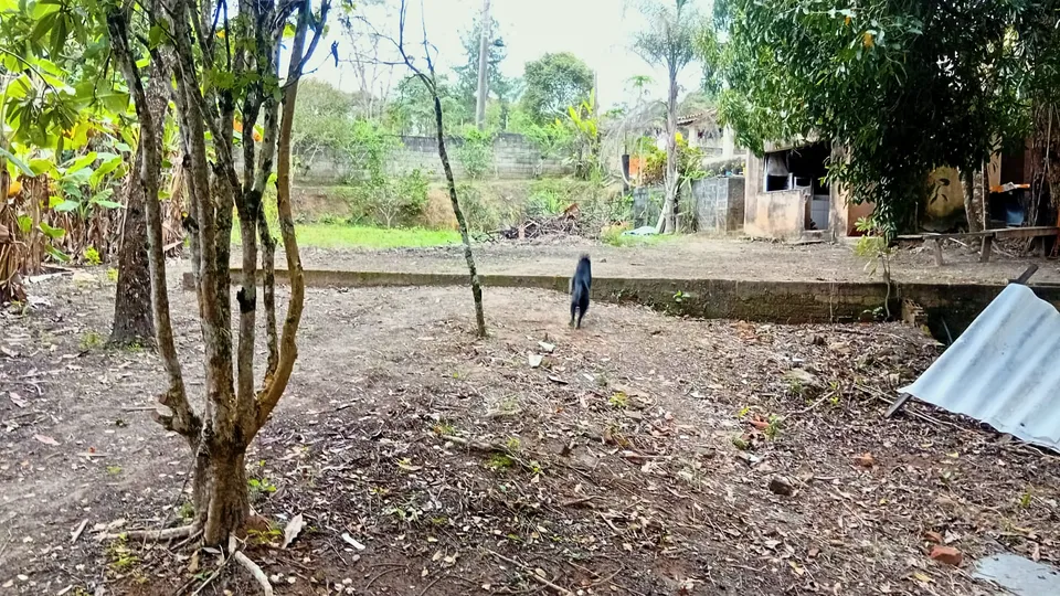 Imóvel à venda em Portal de Pirapora, Salto de Pirapora, foto 4 de 16