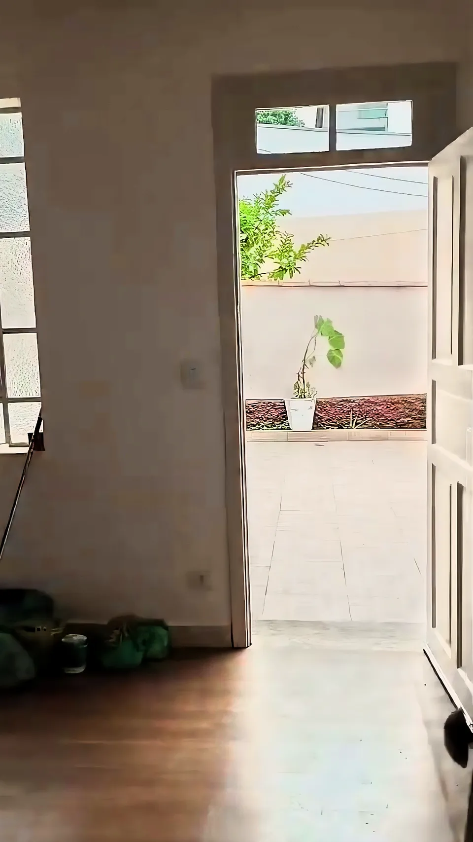 Casa para alugar em Vila Ipojuca, São Paulo, foto 5 de 8