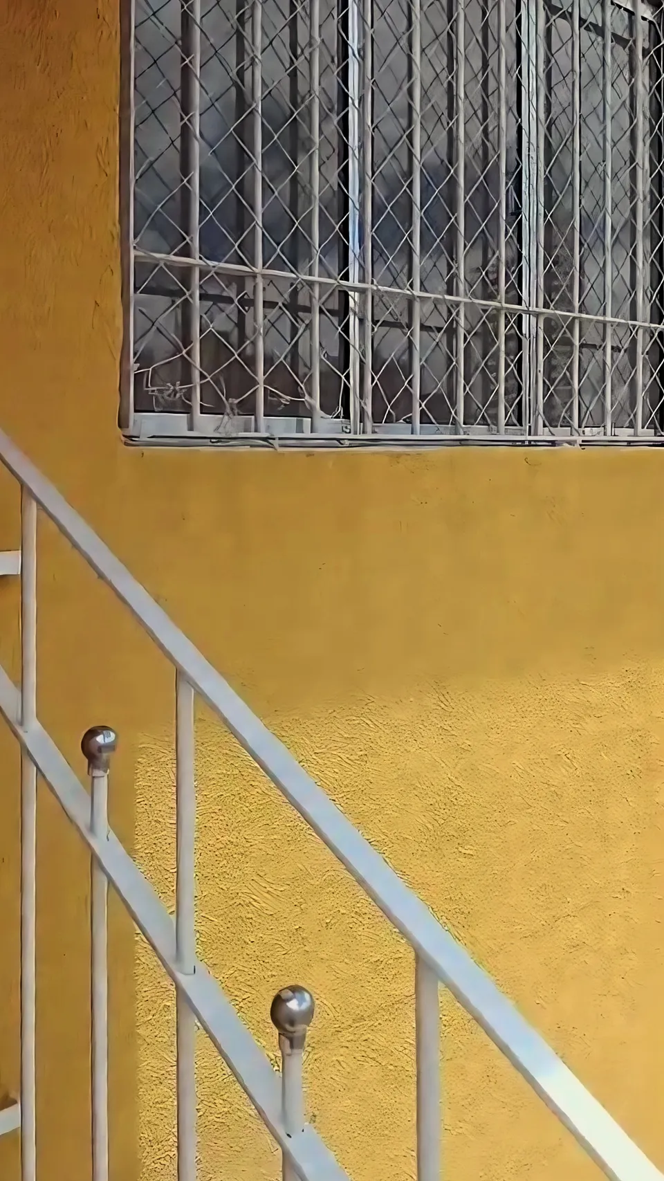 Casa para alugar em Vila Ipojuca, São Paulo, foto 5 de 8