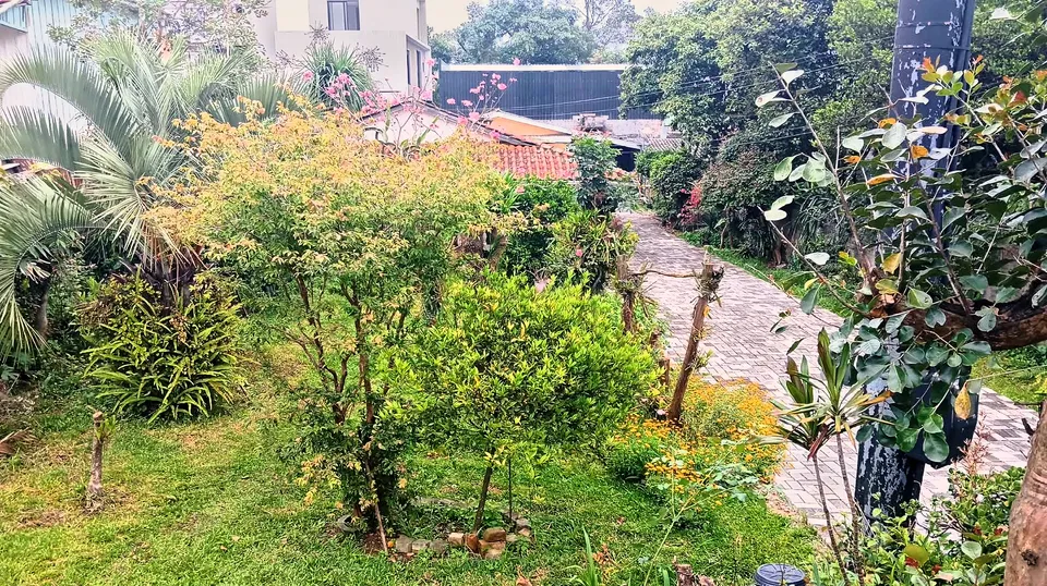 Imóvel à venda em Campina do Siqueira, Curitiba, foto 2 de 5