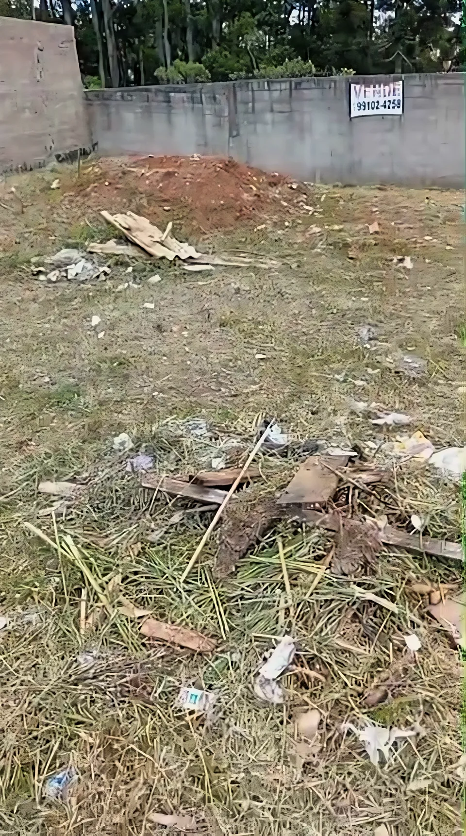 Imóvel à venda em Jardim Roma, Almirante Tamandaré, foto 3 de 5