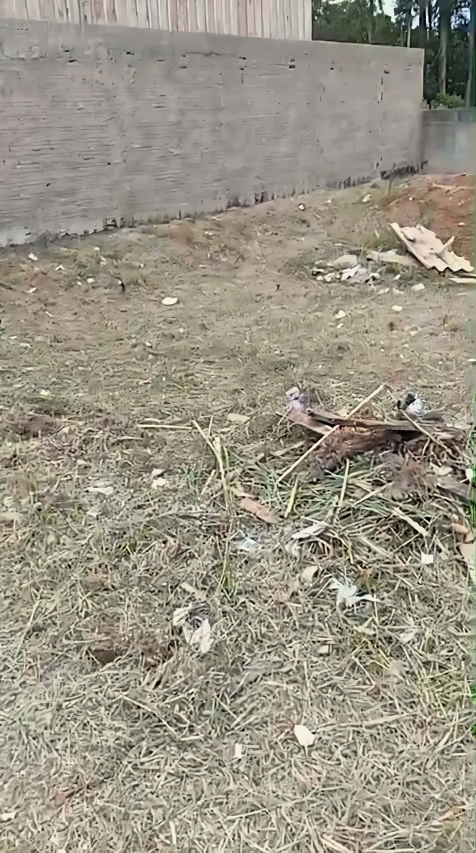 Imóvel à venda em Jardim Roma, Almirante Tamandaré, foto 5 de 5