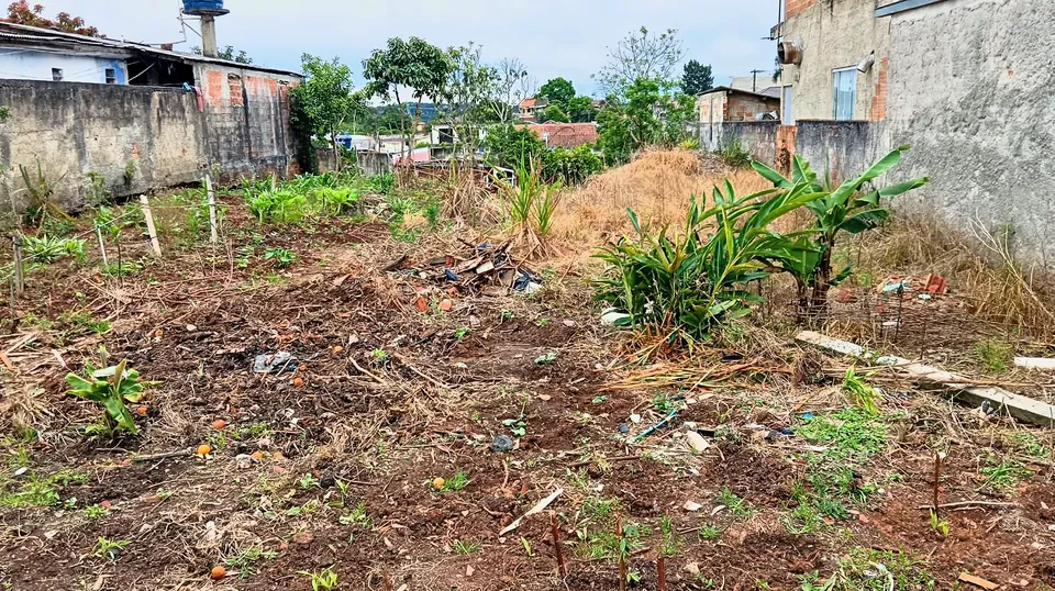 Imóvel à venda em Vila Macedo, Piraquara, foto 3 de 4
